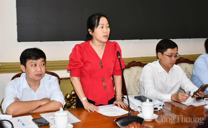 Representatives of Ho Chi Minh City's departments report on the implementation of power grid projects under the revised Power Development Plan VIII.