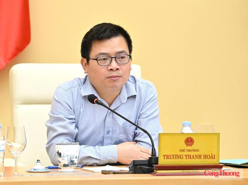 Deputy Minister Truong Thanh Hoai addresses the meeting. Photo: Can Dung