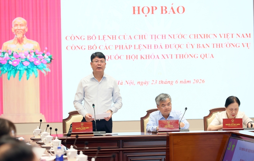 Deputy Minister of Justice Nguyen Thanh Tinh outlines the key provisions of the Ordinance on the Consolidation of Legal Normative Documents. Photo: VGP