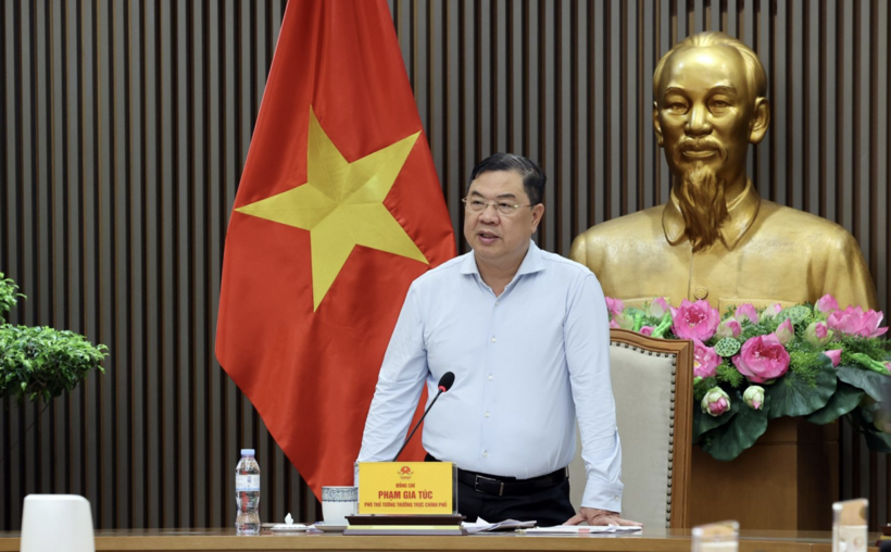 Standing Deputy Prime Minister Pham Gia Tuc delivers concluding remarks at the meeting. Photo: VGP
