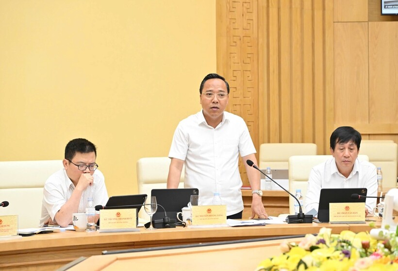 Deputy Minister Nguyen Hoang Long delivers remarks at the meeting. Photo: Can Dung