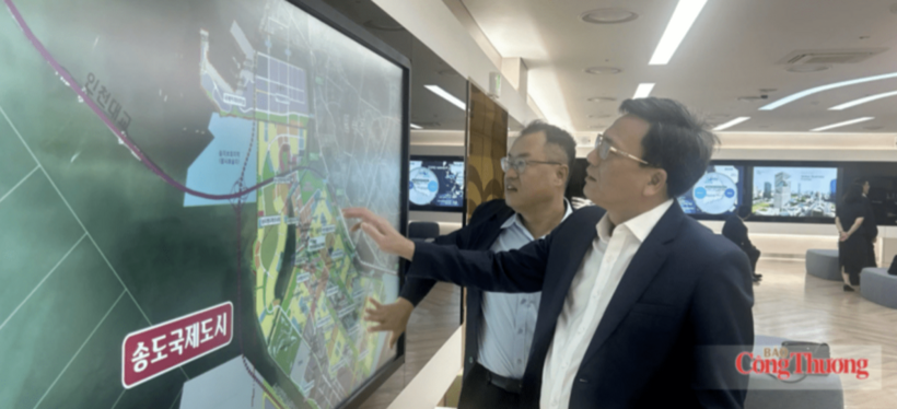 Vu Kim Cu, Head of the Management Board of Hung Yen Economic Zone and Industrial Parks, studies the planning model at IFEZ. Photo: Vietnam Trade Promotion Agency