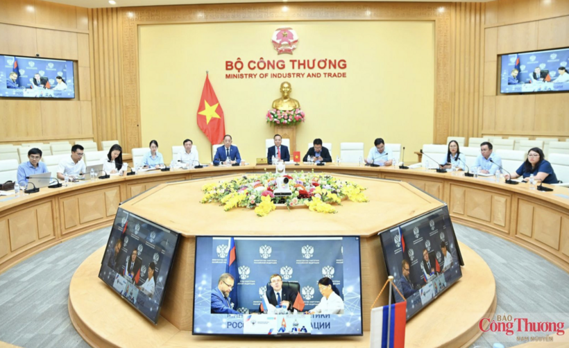 Vietnam, Russia discuss energy and logistics cooperation - 3