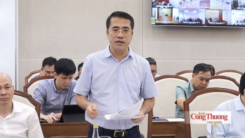 Tang The Hung, Deputy Director of the Electricity Authority of Vietnam, delivers remarks at the working session.