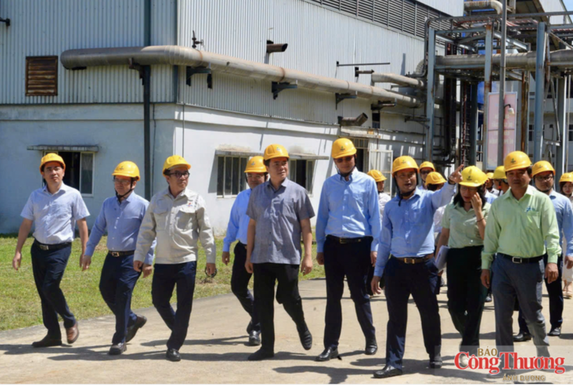 The Deputy Minister commended biofuel producers for their sustained efforts to maintain operations, gradually restore production, expand operating capacity, increase output and broaden the domestic market share of E100 despite numerous challenges.