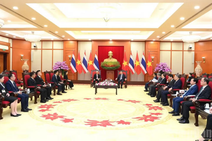 Overview of the meeting. Photo: Dang Khoa