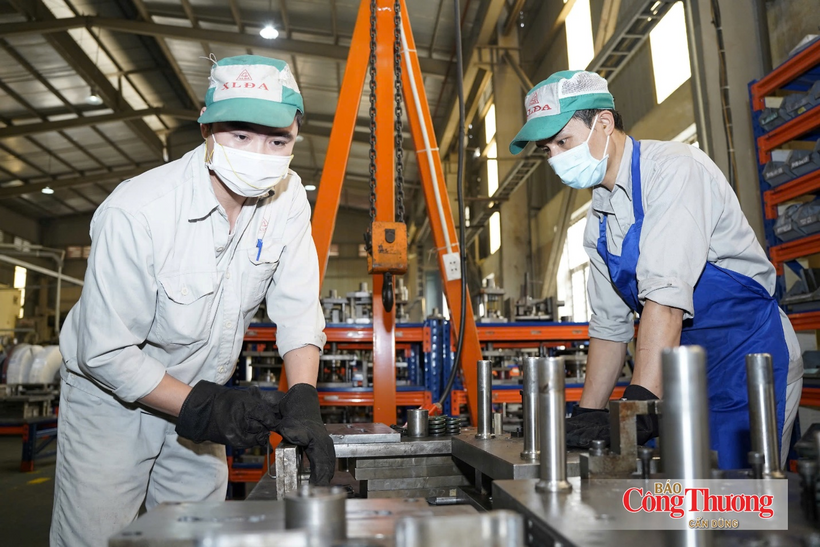 Industrial development should be based on the domestic market as the foundation, while overseas markets serve as an important driver.