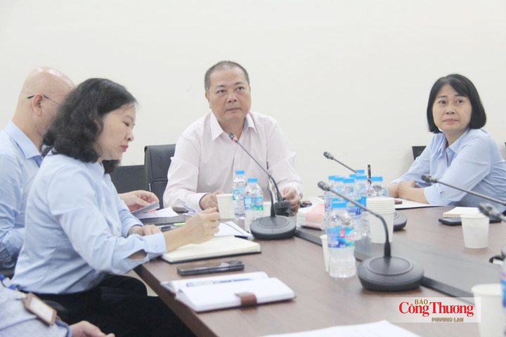 Director Nguyen Anh Son delivers opening remarks at the meeting.