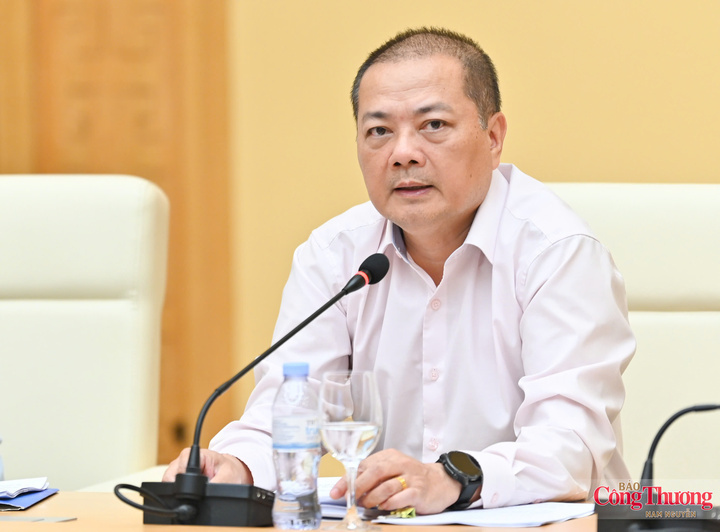 Nguyen Anh Son, Director of the Agency for Foreign Trade (MoIT), provides information on the draft Strategy. Photo: Nam Nguyen