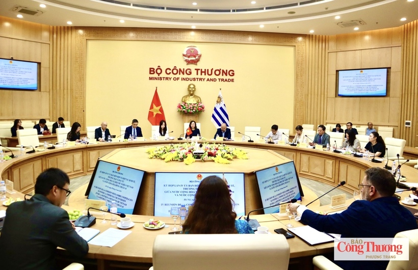 Viet Nam, Uruguay seek to deepen trade and investment cooperation - 1
