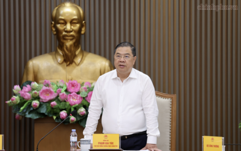Standing Deputy Prime Minister Pham Gia Tuc addresses the working session - Photo: chinhphu.vn/Phuong Nguyen