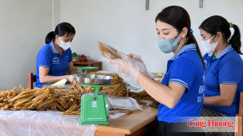 Industrial promotion programs in the Central and Central Highlands regions focus on supporting rural industrial establishments in upgrading technologies, machinery and equipment.
