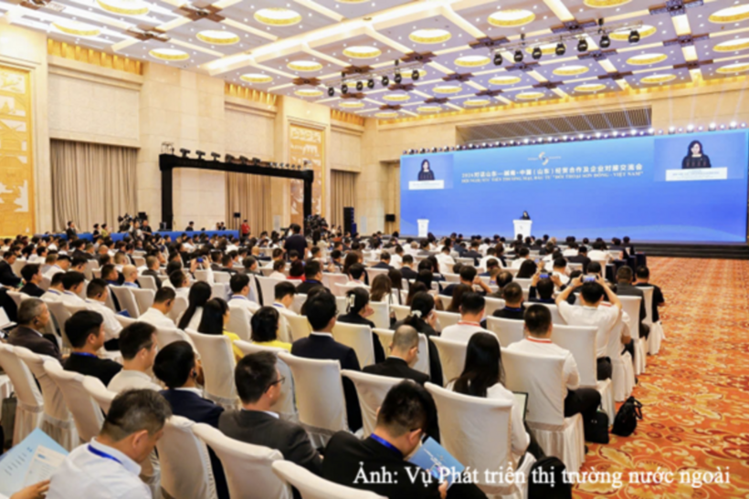 Viet Nam, China expand room for trade and investment cooperation - 2