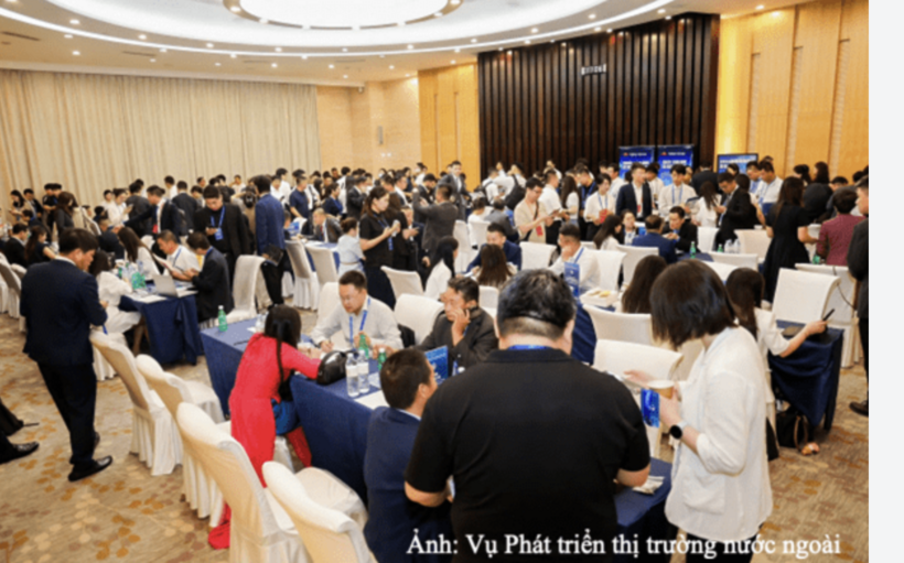 Viet Nam, China expand room for trade and investment cooperation - 5
