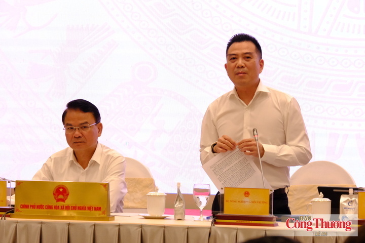 Deputy Minister of Agriculture and Environment Dang Ngoc Diep provides an update on agricultural exports. Photo: Le An