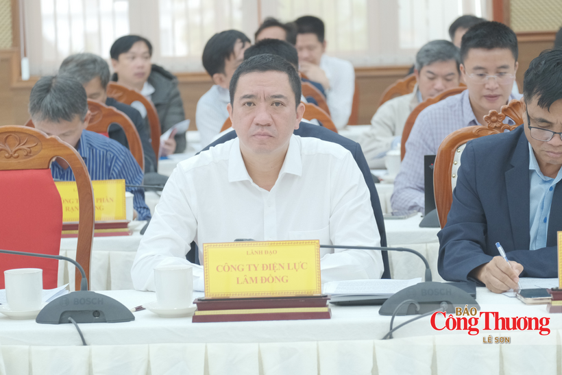 Phan Sy Duy, Director of the Lam Dong Power Company, at the working session.