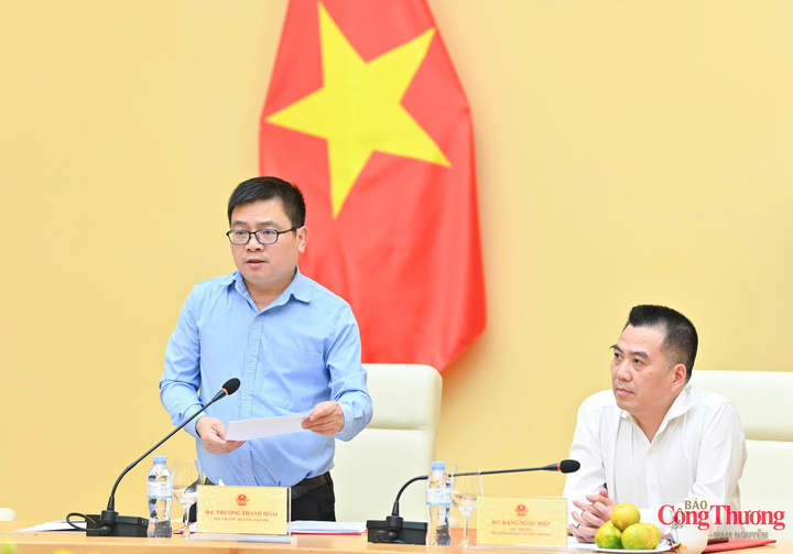 Deputy Minister of Industry and Trade Truong Thanh Hoai. Photo: Nam Nguyen