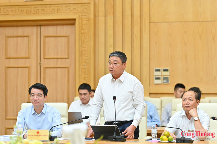 Tran Binh Trong, Director of the Viet Nam Department of Geology and Minerals. Photo: Nam Nguyen