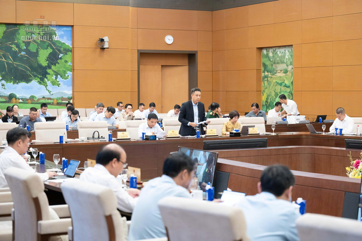 Deputy Minister Nguyen Viet Son said the draft Law consists of three articles, mainly amending and supplementing 23 articles and abolishing three articles. Photo: Vu Hieu