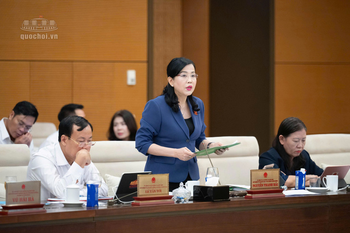 Chairman of the National Assembly's Committee for Science, Technology and Environment Nguyen Thanh Hai presents a preliminary appraisal report on the draft Law amending and supplementing a number of articles of the Electricity Law. Photo: Vu Hieu