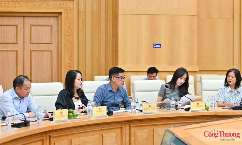 Members of the Office of the GoGlobal Program for the 2026 - 2030 period attend the meeting.