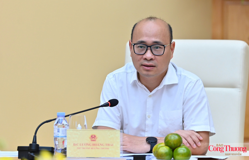 Deputy Minister of Industry and Trade Luong Hoang Thai delivers opening remarks at the meeting.