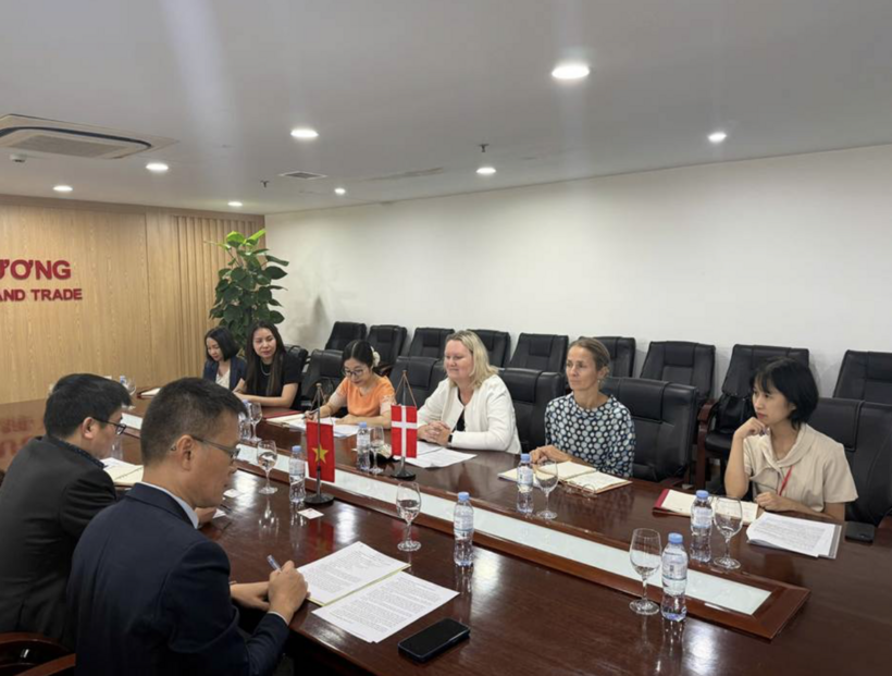Viet Nam - Denmark seek to deepen economic and energy cooperation - 4