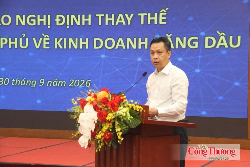Deputy Minister Nguyen Viet Son delivers remarks at the conference.
