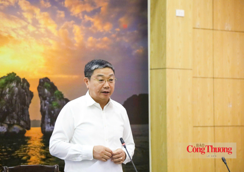 Tran Binh Trong, Director of the Viet Nam Department of Geology and Minerals, delivers a report at the working session