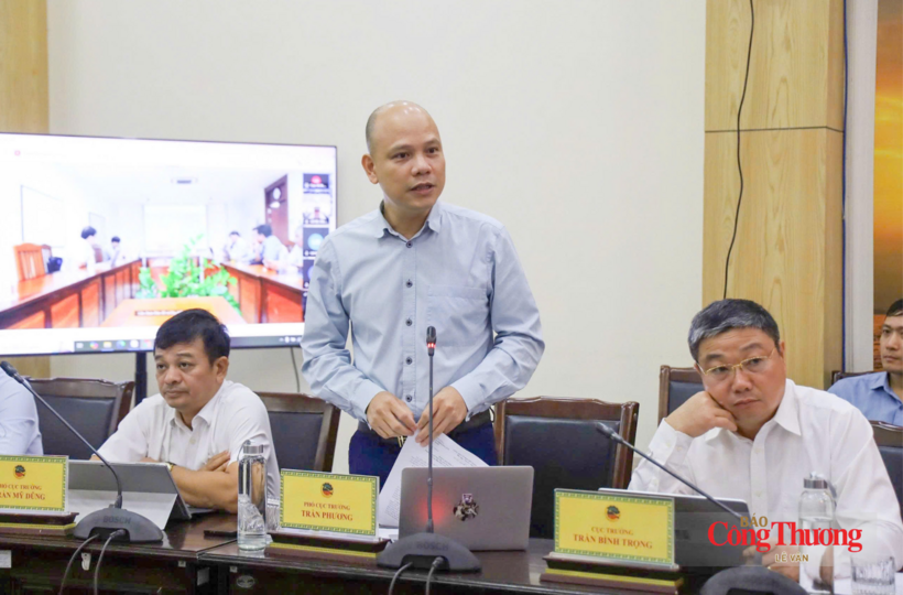 Tran Phuong, Deputy Director of the Viet Nam Department of Geology and Minerals, delivers a report at the working session