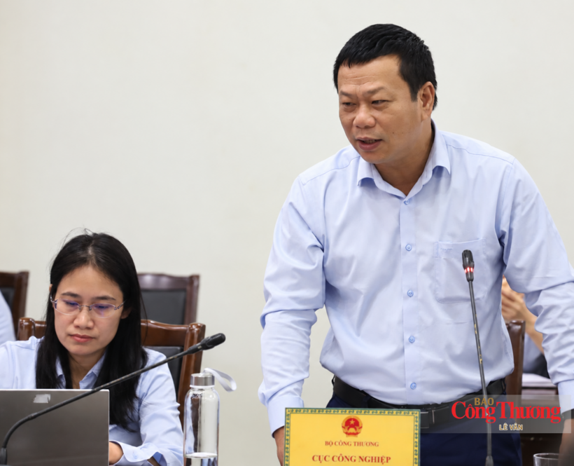 A representative of the Viet Nam Industry Agency delivers remarks at the working session