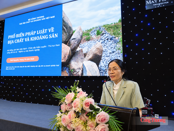 Pham Thi Thanh, Deputy Head of the Legal Affairs and Inspection Division, under the Viet Nam Department of Geology and Minerals, addresses the conference. Photo: Minh Duc