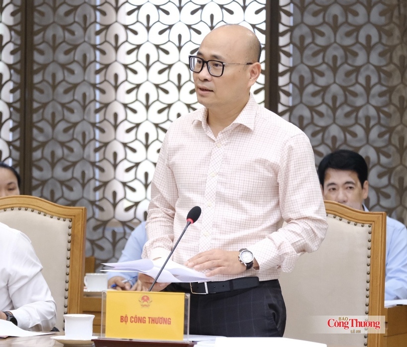 Deputy Minister of Industry and Trade Luong Hoang Thai addresses the meeting.