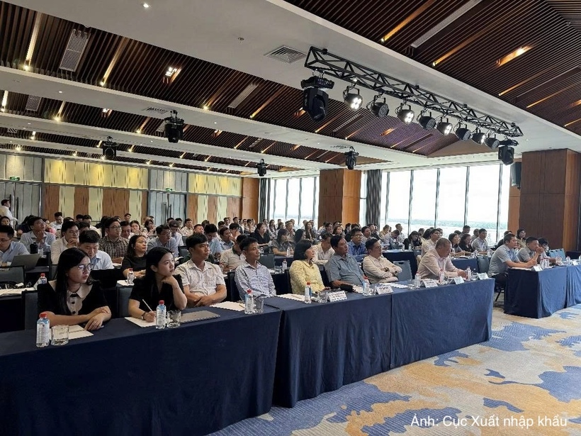 Delegates attend the conference.