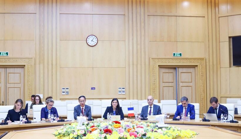 Deputy Minister Luong Hoang Thai holds talks with French minister to deepen cooperation - 4