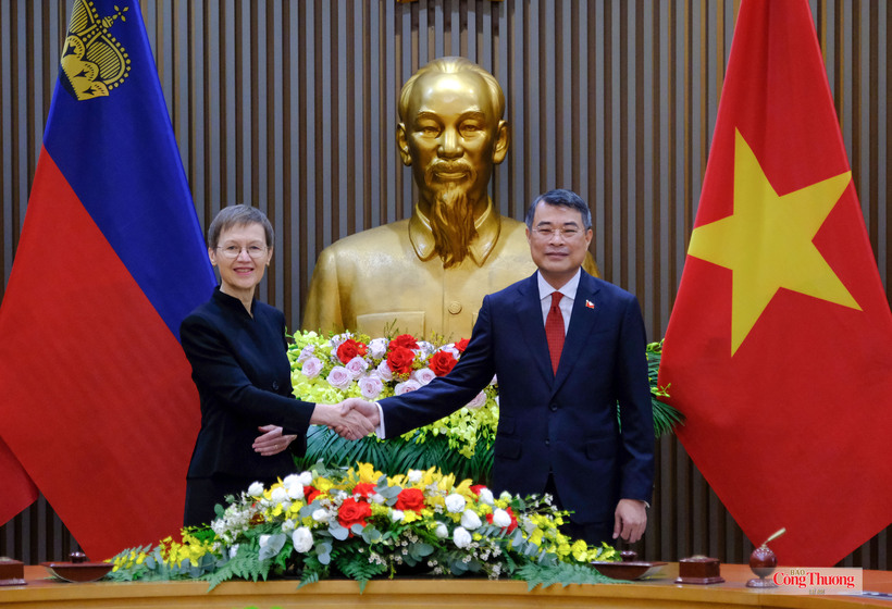 Vietnamese Prime Minister Le Minh Hung holds talks with Liechtenstein Prime Minister