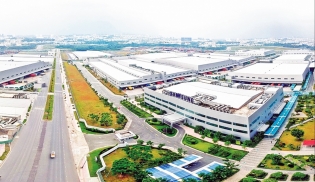 Strong recovery of capital's economy