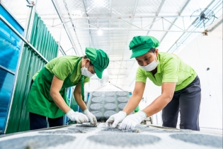 Black rice cakes reach foreign markets