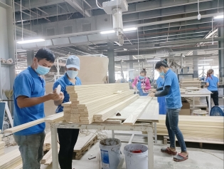 Thanh Hoa boosts forest product processing
