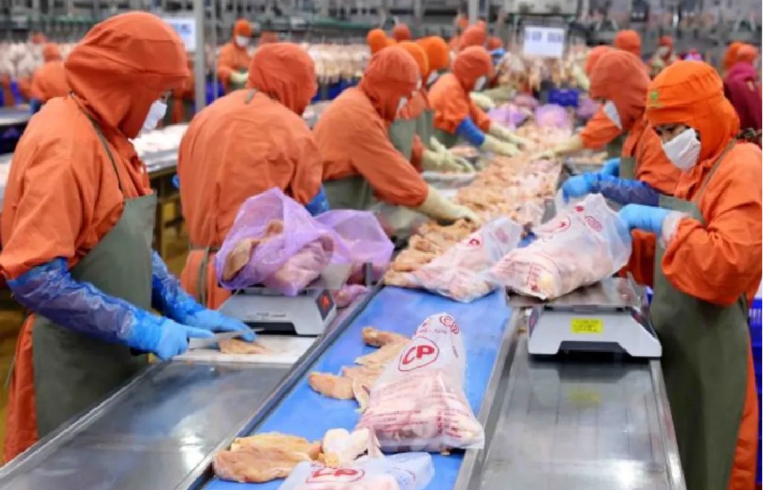 Domestic poultry sellers face tough competition from imported chicken