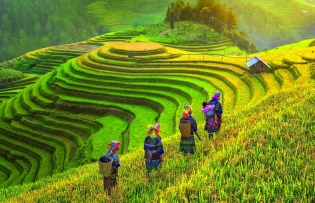 Festivals in Sapa