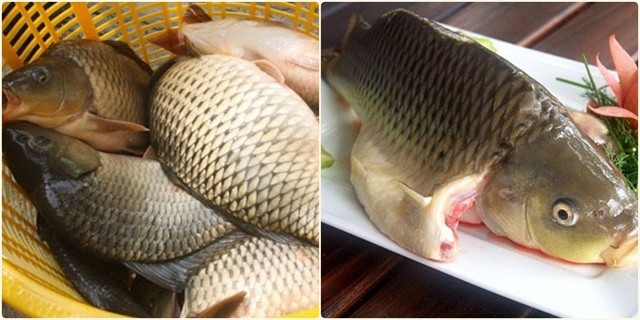 The larger the carp, the better the dish. — Photo eva.vn The larger the carp, the better the dish. — Photo eva.vn