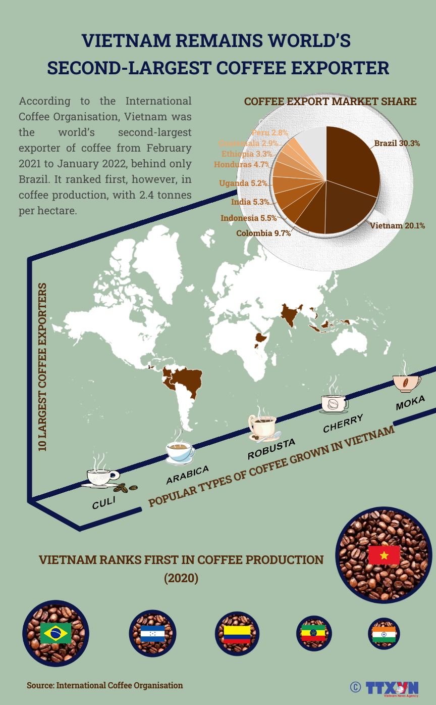 Vietnamese coffee reigns supreme on global coffee map