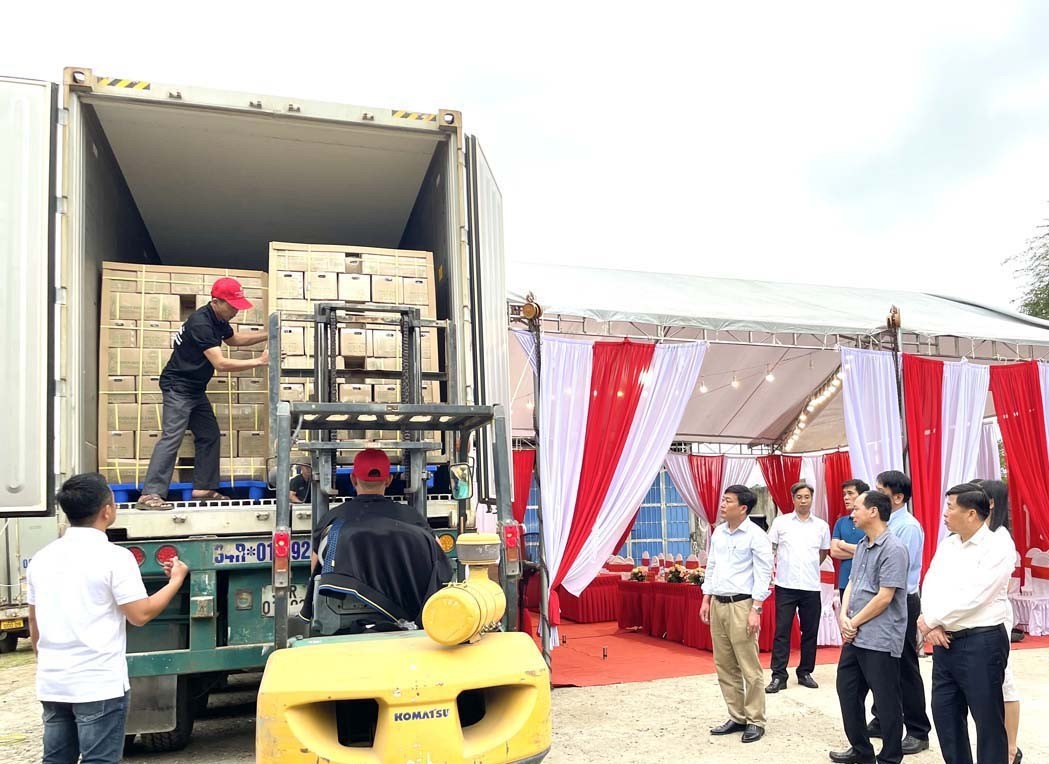 Preparing sugarcane products for export