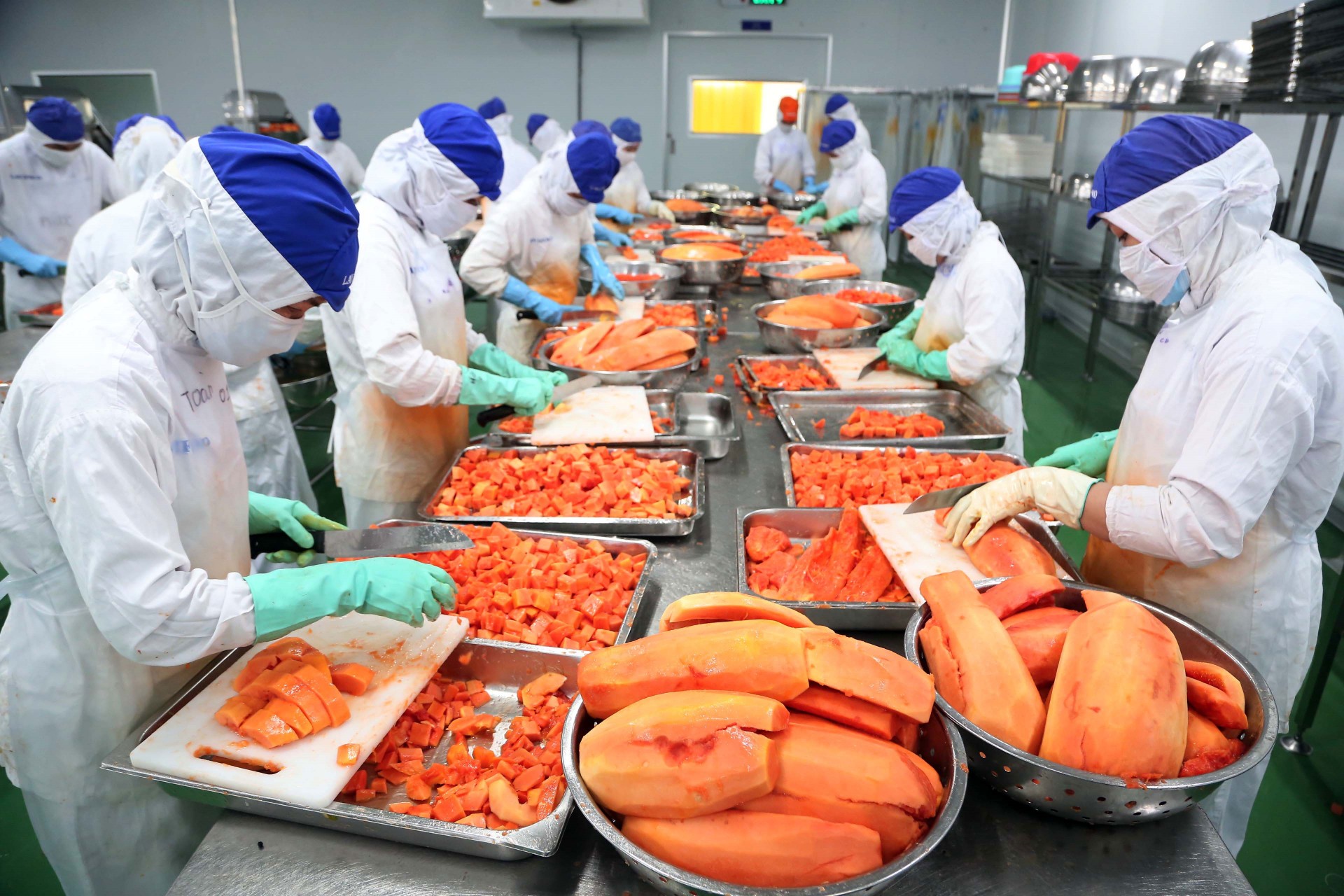 The EVFTA is expected to boost Vietnam’s produce exports The EVFTA is expected to boost Vietnam’s produce exports