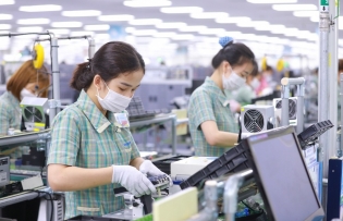 Promoting digitalization in rural industry