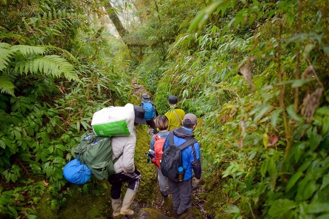 Mt Nam Kang Ho Tao trekking route is arduous and difficult to conquer. — Photo sgtiepthi.vn Mt Nam Kang Ho Tao trekking route is arduous and difficult to conquer. — Photo sgtiepthi.vn