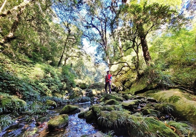 A tourist enjoying the moment during the journey to conquer Mt Nam Kang Ho Tao. — Photo laichau.gov.vn A tourist enjoying the moment during the journey to conquer Mt Nam Kang Ho Tao. — Photo laichau.gov.vn