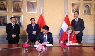 Vietnam-Netherlands share a model relationship of dynamism, effectiveness