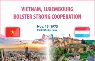 Vietnam, Luxembourg bolster strong cooperation